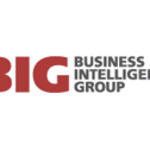 Business Intelligence Group